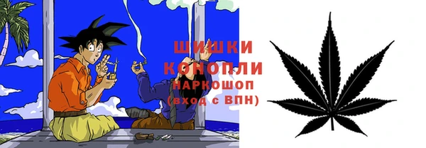 гидропоника Богданович