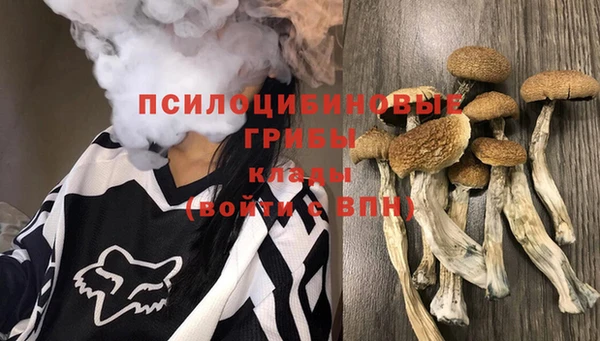 СК Богородск