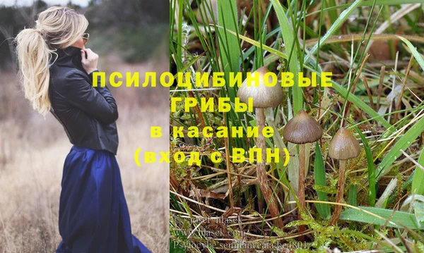 марки nbome Богородицк