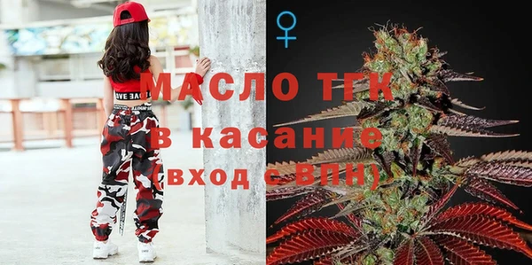 СК Богородск