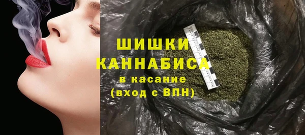 гидропоника Богданович