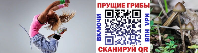 Псилоцибиновые грибы Cubensis  Гремячинск 